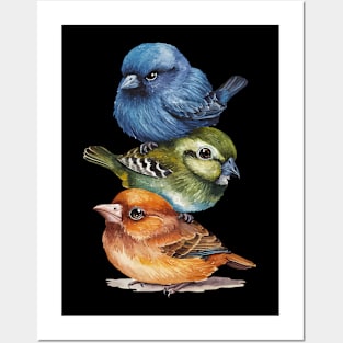 Birds Illustration Posters and Art